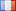 French flag icon